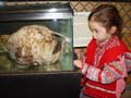 Jade and the deep sea angler fish