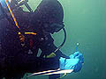 Data Collection