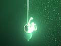 Seabird CTD Deployment