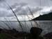 124