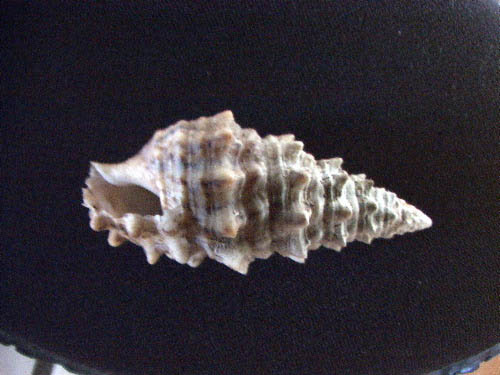 052